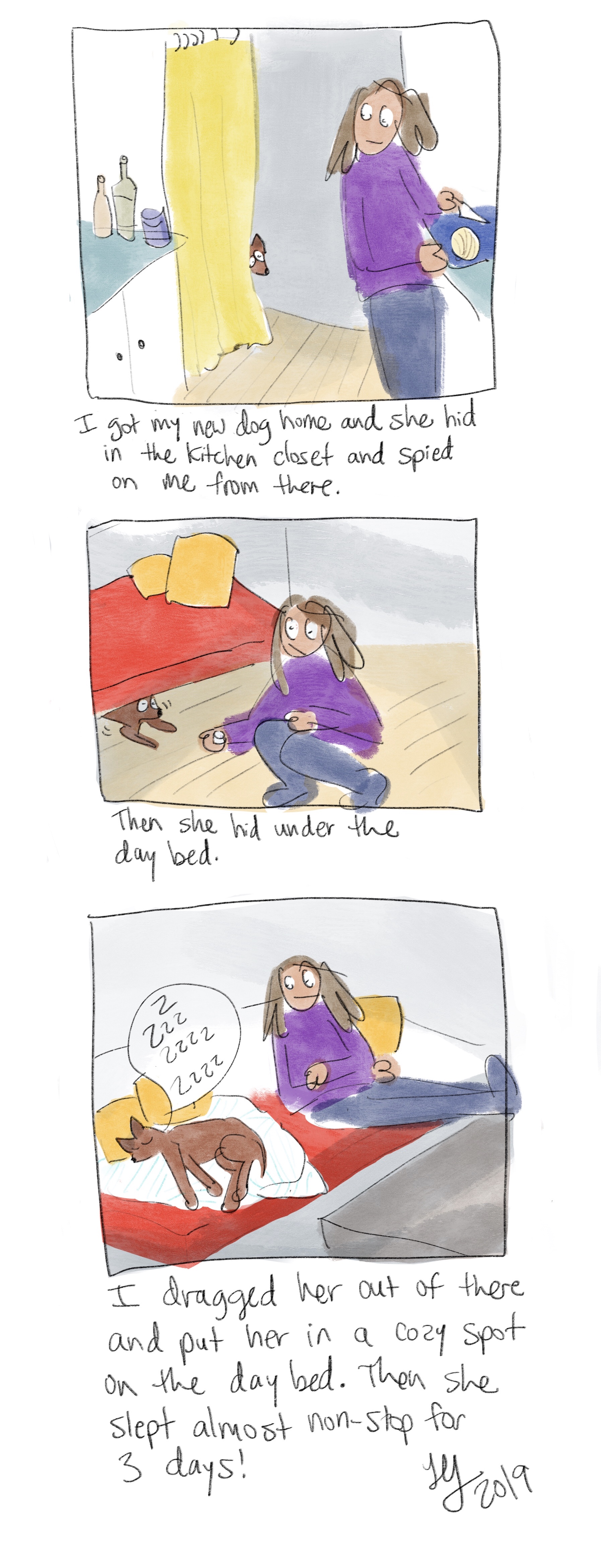 I recently adopted a little dog from Chicago Canine Rescue. She looks like a little Fox. I made this comic about her. She likes to hide and stare at me. Once I put her in a cozy place she passed out and slept for days!